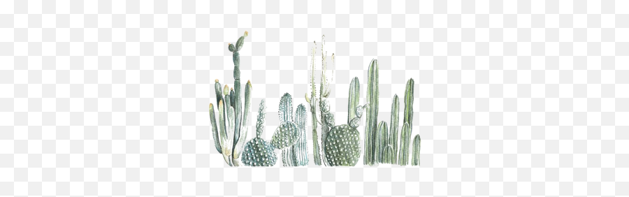 Cactus Png Images - Cactus Print,Cacti Png