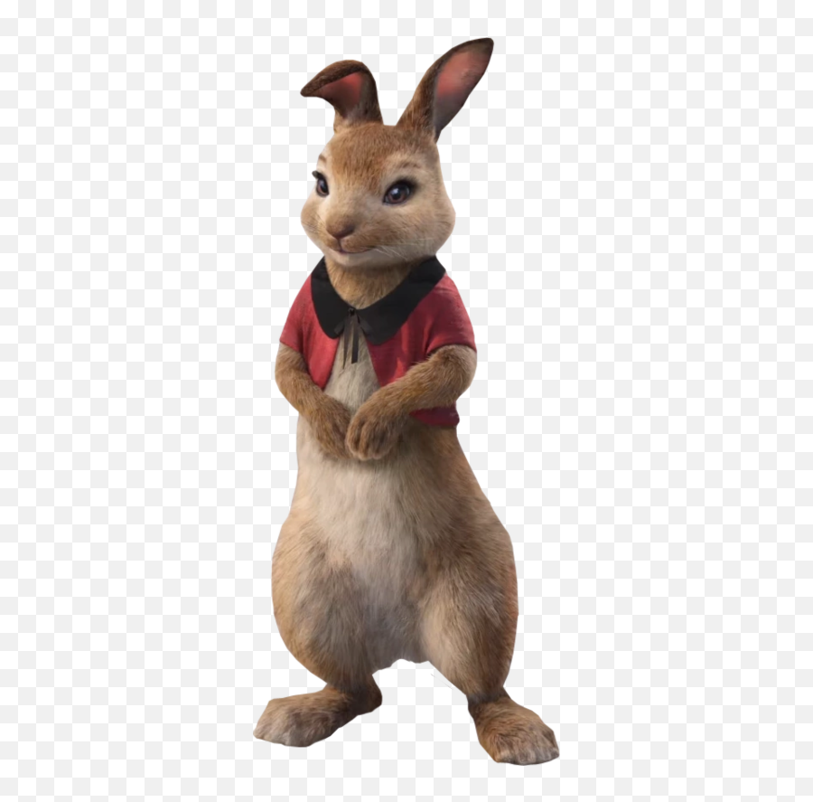 Flopsy - Peter Rabbit Movie Flopsy Png,Peter Rabbit Png