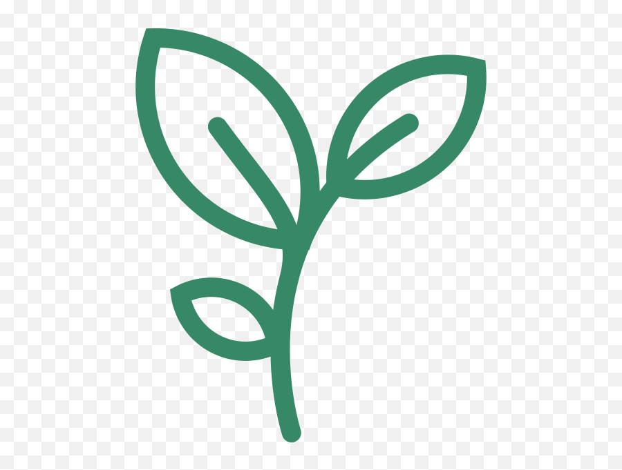 Sunday School Fbc Rosemount - Plant Shoot Icon Png,Plant Growing Icon