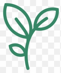 Sunday School Fbc Rosemount - Plant Shoot Icon Png