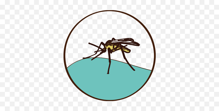 Applications - Stop Gene Drives Parasitism Png,Mozzie Icon