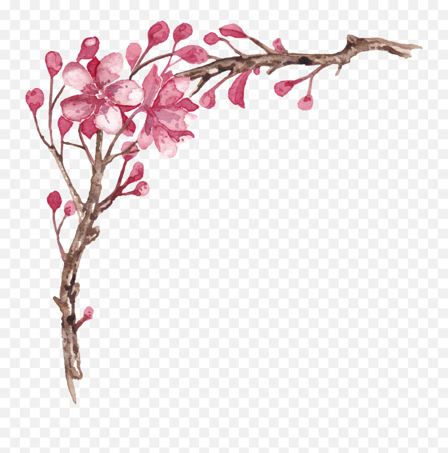 Elegante Pintado A Mano Plum Tree Branches Png Transparente - Png Elegante,Tree Branches Png