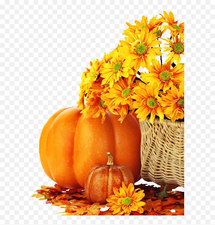 Download Free Brown Eggnog Charlie Autumn Facebook Pumpkin - Harvest Festival Fall Backgrounds Png,Flower Icon On Facebook