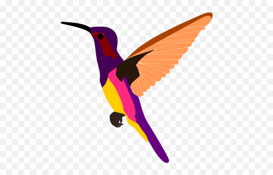 Oriole Png Images Download Transparent Image - Bee Hummingbird,Purple Parrot Icon
