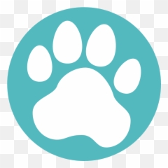About Us Our Dogs Are Family Off Leash Training - Dot png
