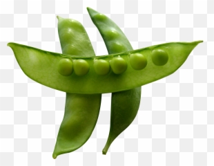 Snow Peas Png Image - Snow Peas Png,Peas Png