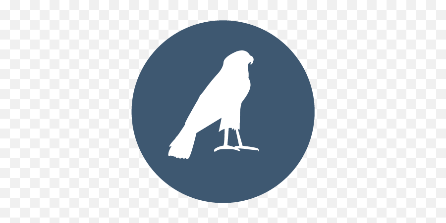 About U2014 Peregrine Rolfing - Buzzard Png,Peregrine Falcon Icon