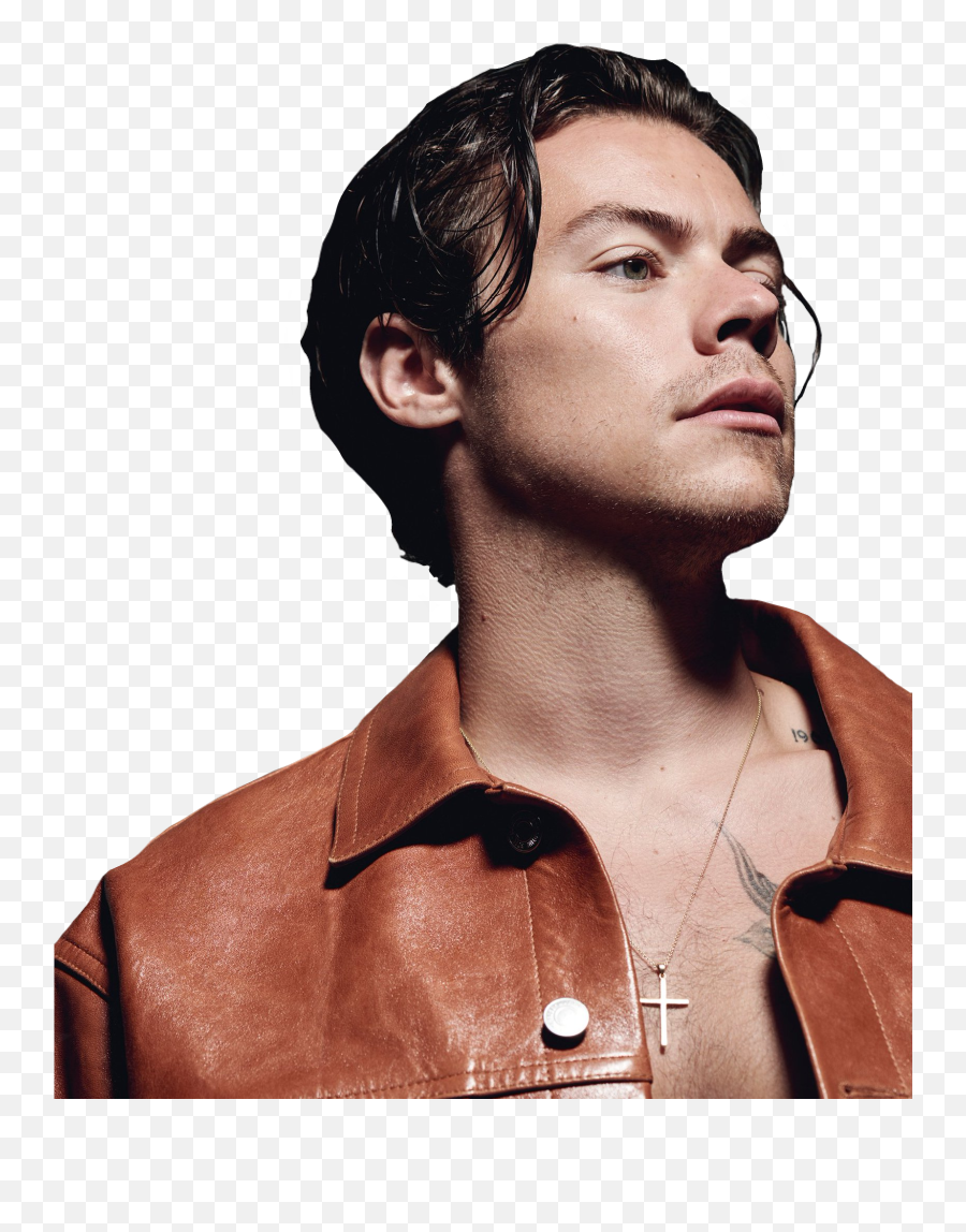 Harrystyles Icon Model 305488387316211 By Ecstaticstyles - Harry Styles The Face Png,Harry Styles Icon