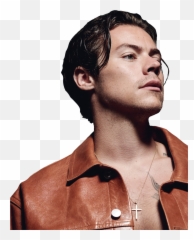 Harrystyles Icon Model 305488387316211 By Ecstaticstyles - Harry Styles The Face png