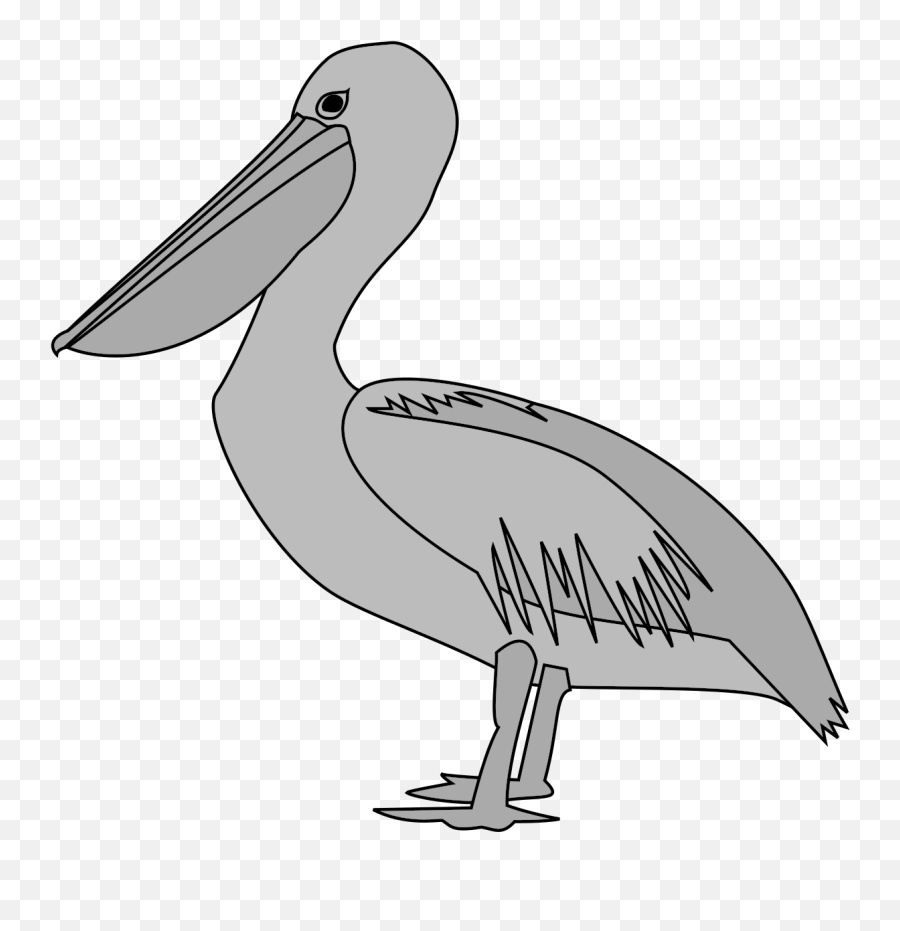 Heraldic Pelican - Heraldic Pelican Png,Pelican Png