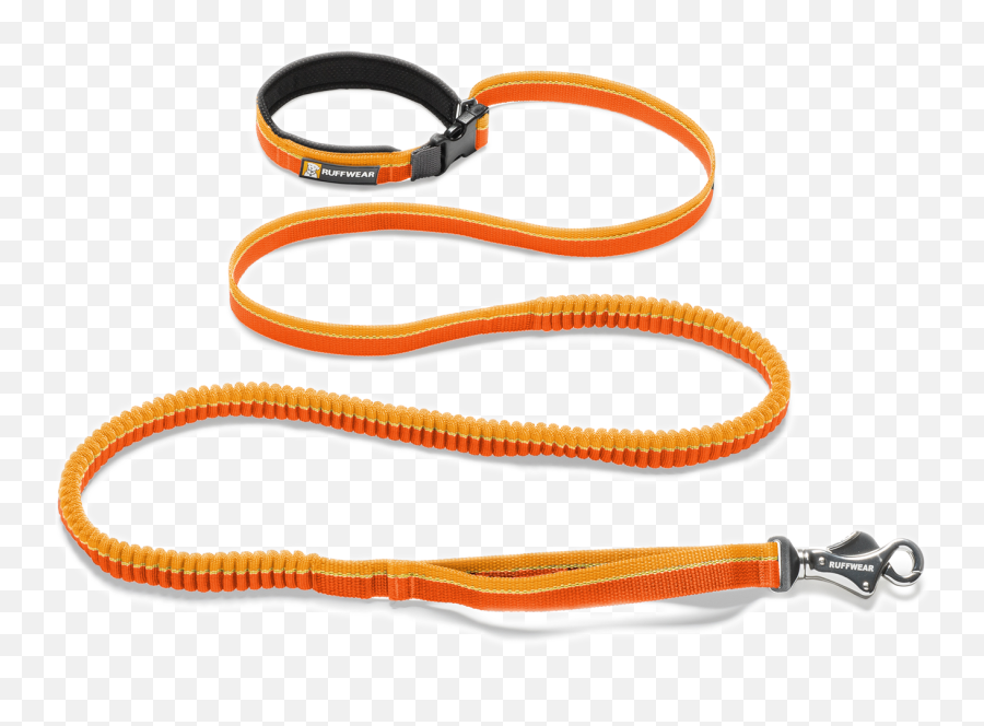 Leash Png Images Free Download - Leash,Collar Png