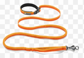 Leash Png Images Free Download - Leash,Collar Png