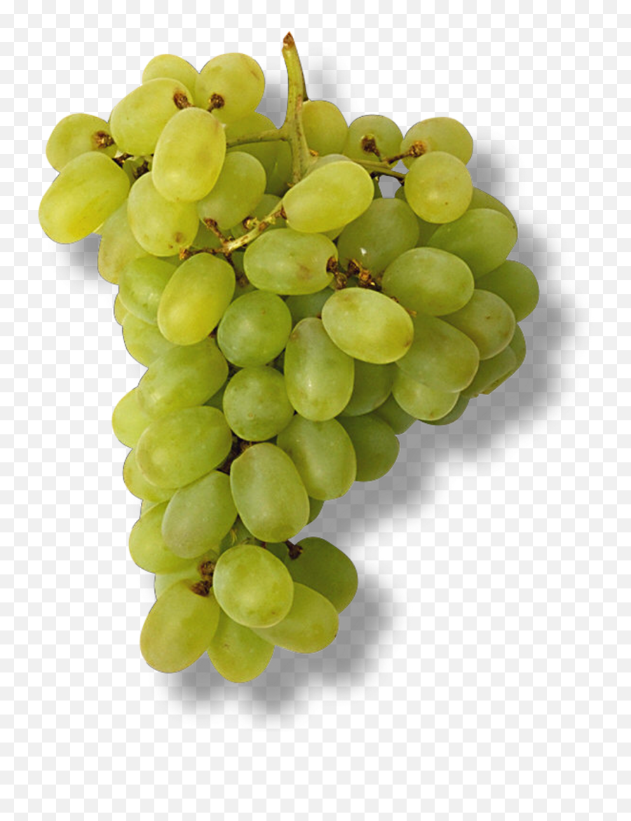 Grappe De Raisin Vert - Grappe De Raisin Vert Png,Raisin Png