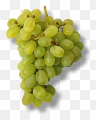 Grappe De Raisin Vert - Grappe De Raisin Vert Png,Raisin Png