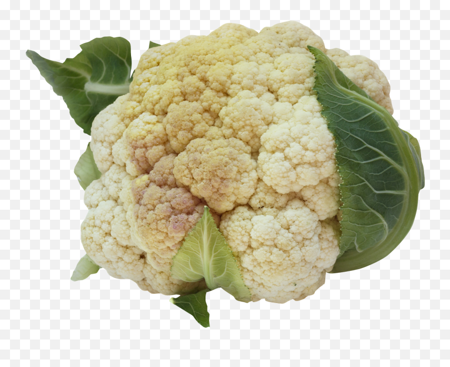 Png Image For Designing Projects - Cauliflower,Cauliflower Png