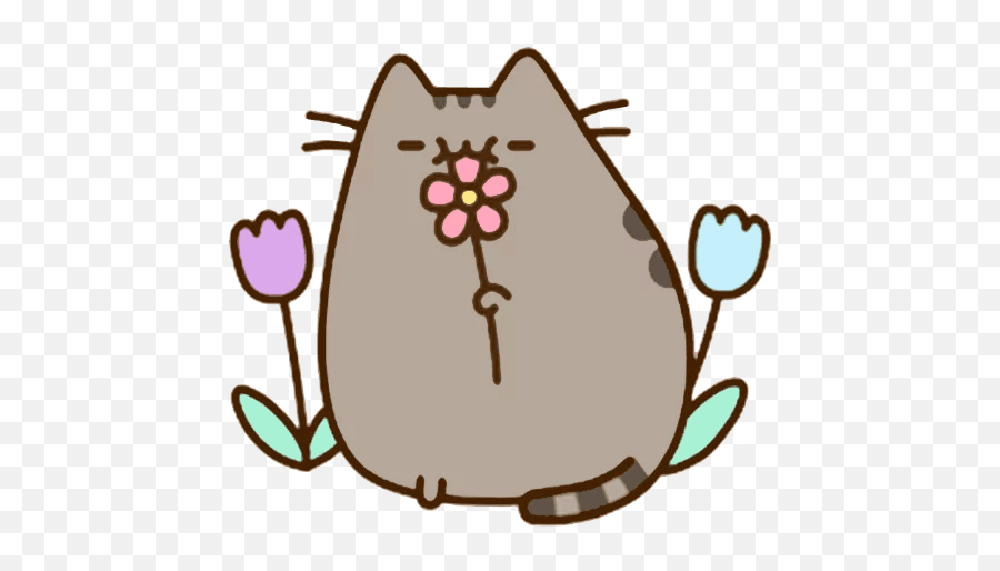 Download Pusheen Kitten Area Flower Cat - Cute Pusheen Png,Pusheen Transparent Background