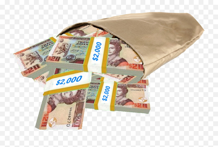 Download Bag With Stacks Of Belize Dollars Money - Fuet Png,Money Stacks Png
