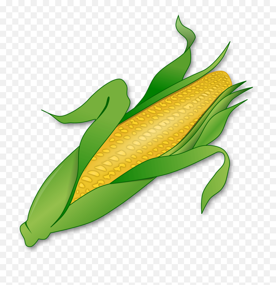 Corn - Corn Clipart Transparent Background Png,Corn Cob Png