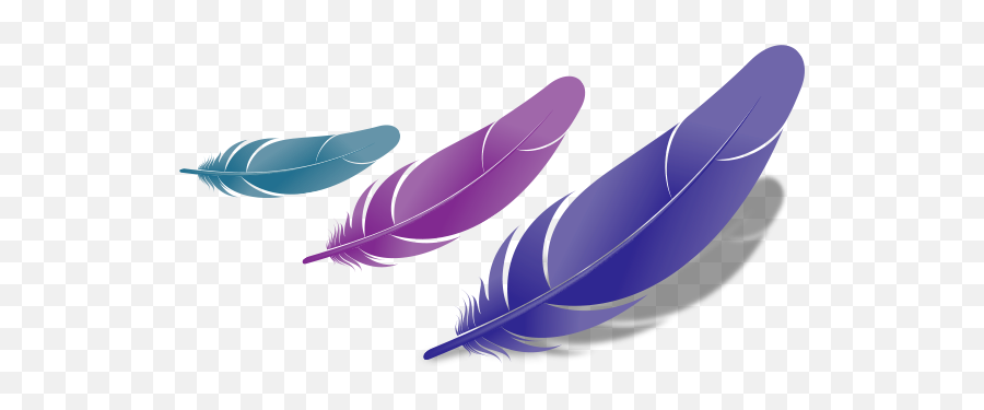 Free Download Bird Feather Png Fascinating Feathers 572x294 - Bird Feather,Peacock Feather Png