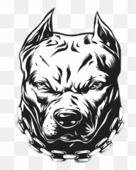 Report Abuse - Pitbull Car Stickers Png,Pitbull Png