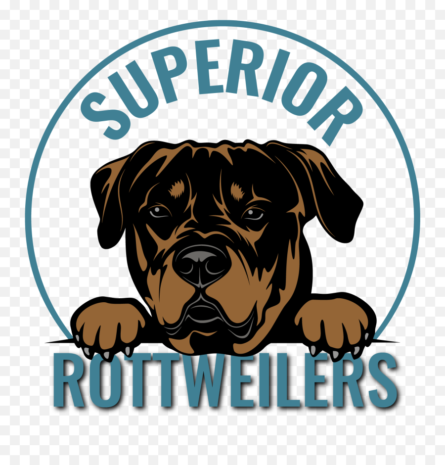 Home - Boxer Png,Rottweiler Png