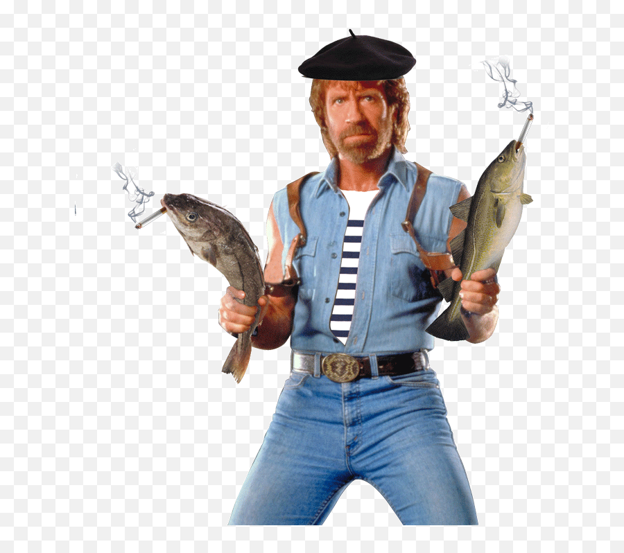 Download Free Png Chuck Norris Hd - Chuck Norris Transparent Background,Chuck Norris Png