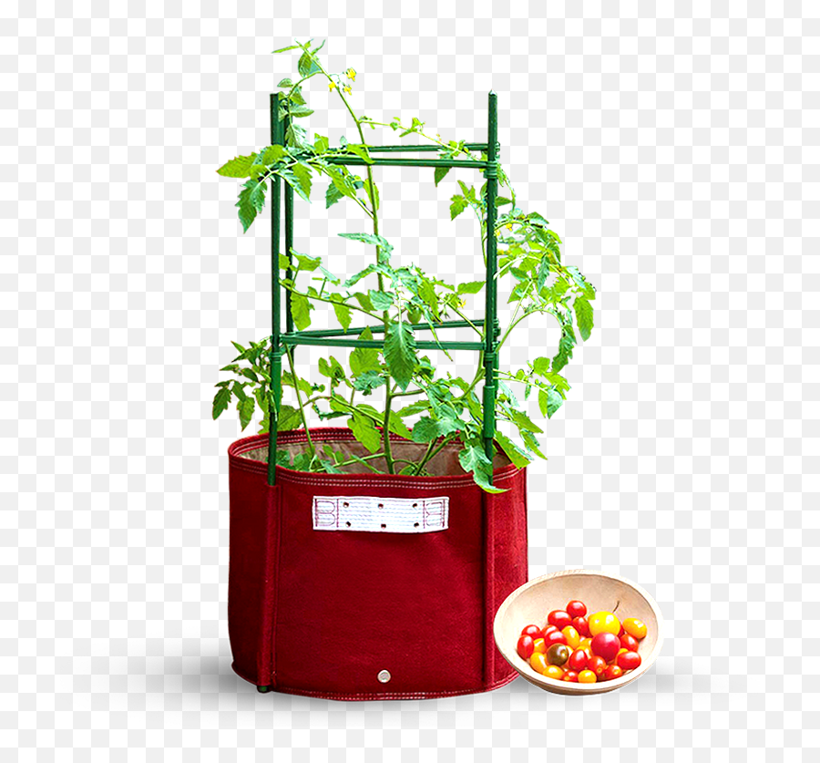 57l Maroon Big Tomato Fabric Planter 42 X 41cm With Stacking Kit - Collapsible Planting Box Png,Planter Png