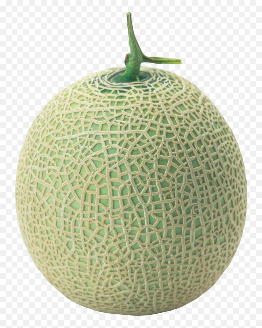 Melon Png Image