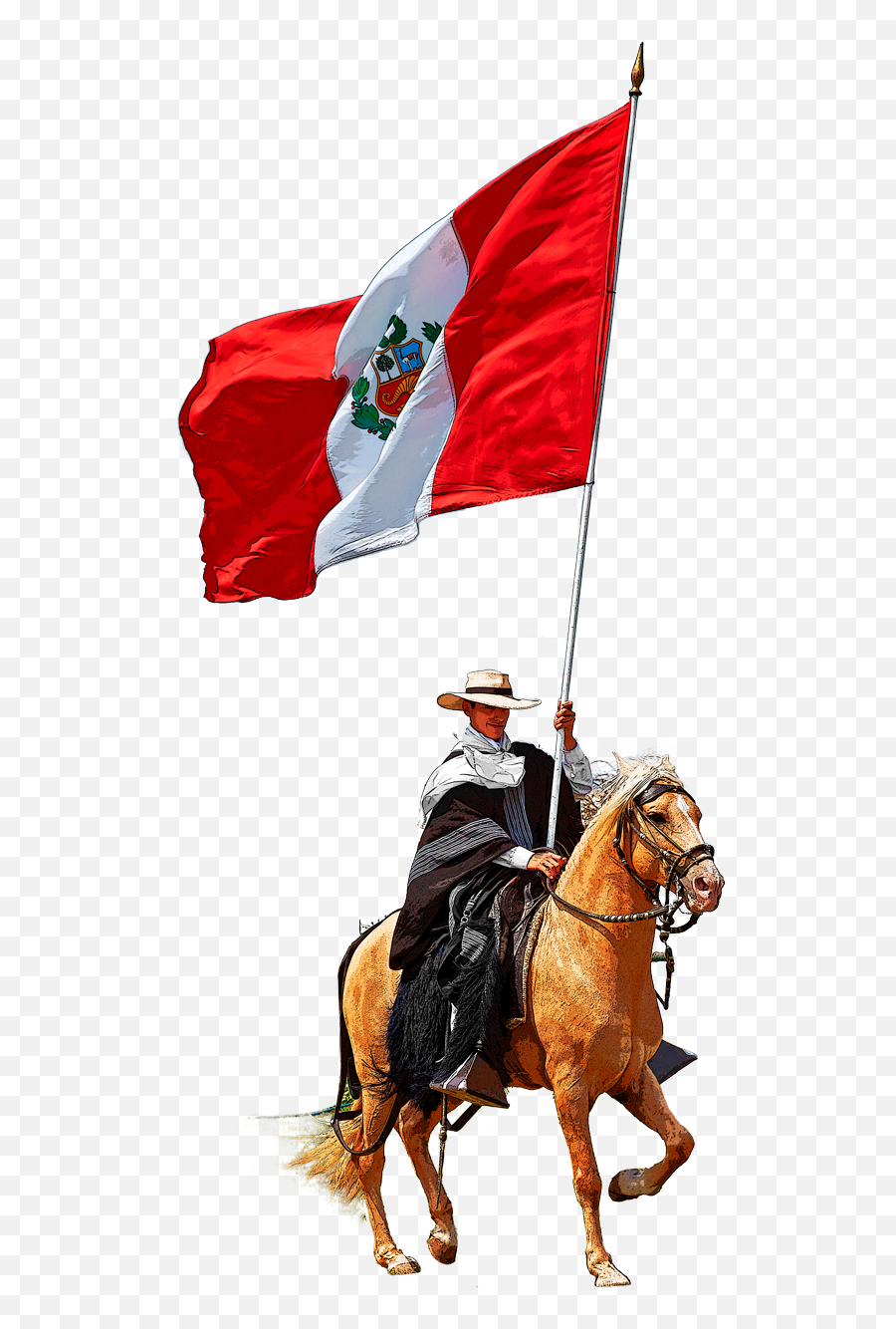 The Traditional Peruvian Paso Horse - Caballo De Paso Peruano Con Bandera Png,Peru Flag Png