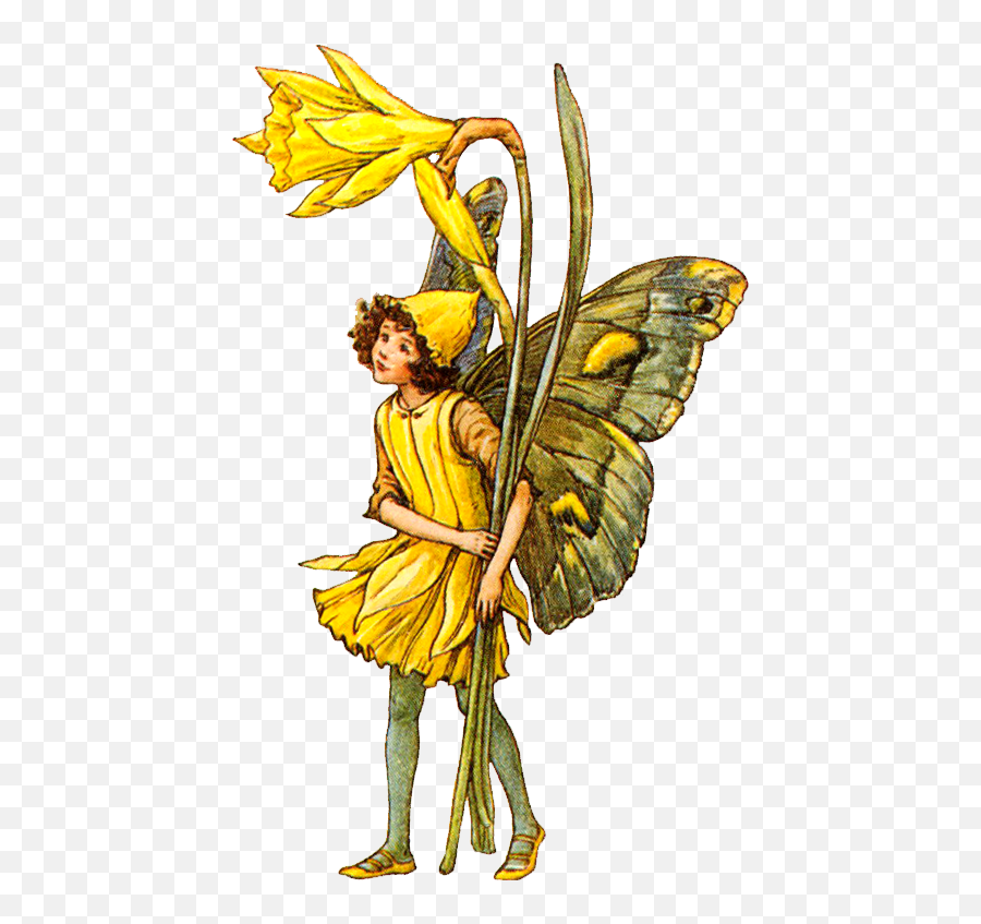 Fairy Clipart Flower - Cicely Mary Barker Flower Fairies Png,Fairies Png
