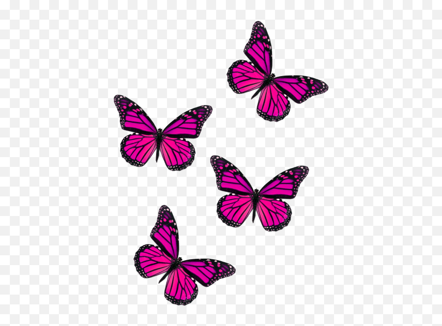 Butterfly Fly Pink Butterflies - Pink Butterfly Png Transparent,Flying Butterfly  Png - free transparent png images 