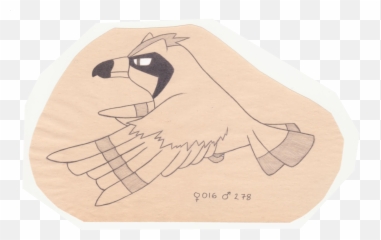 The Pokemon Ornithologist Pidgey - Parrot Png,Pidgey Png