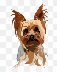 Itu0027s A Yorkie Throw Pillow By Kingdomart101 - Cover 16 X Stickers Perros Yorkshire Png,Yorkie Png