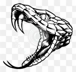 Download Snake Fangs Png Clip Royalty - Rattlesnake Black And White