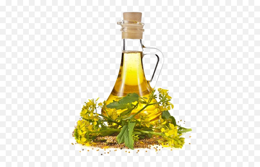 Wintergreen Oil - Sarso Ka Oil Png,Mustard Png