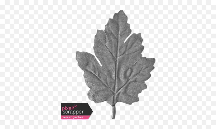 Craft Oak Leaf 01 Template Graphic - Red Maple Png,Oak Leaf Png