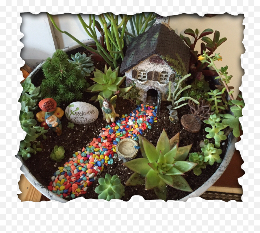 Desert Landscaping In Las Vegas Nv 2 White Guys - Succulent Fairy Garden Diy Png,Desert Plant Png