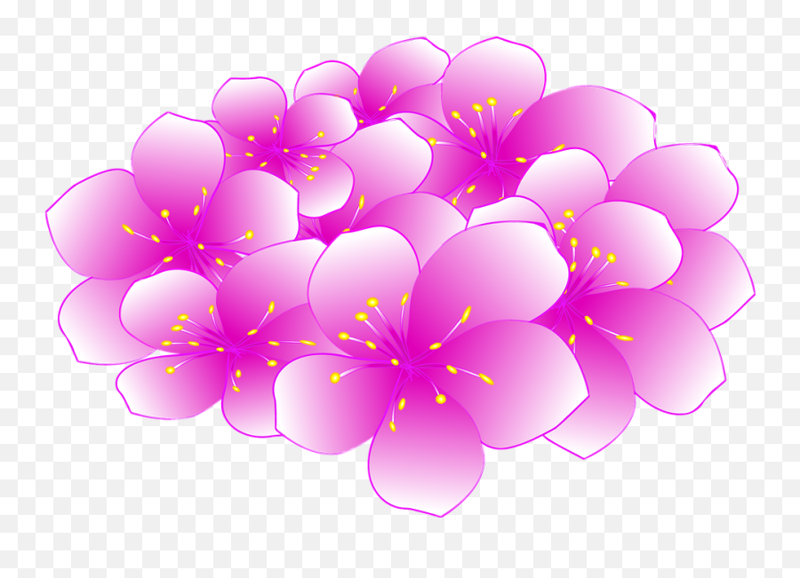 Sakura Flower - Cherry Blossom Png,Sakura Png