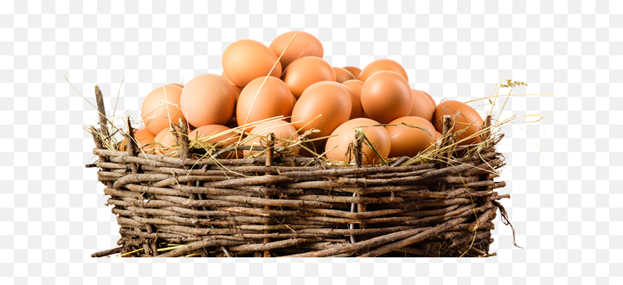 Download Organic Eggs Png Image Stock - Financial Eggs In A Basket,Basket Png