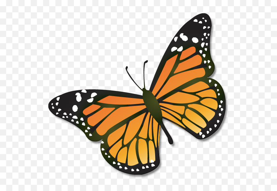 Clip Art Free Monarch Butterfly - Butterfly Clip Art Png,Monarch Butterfly Icon