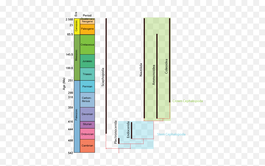 Geol 204 The Fossil Record Tree Of Life Reconstructing - Statistical Graphics Png,Direct Ancestor Icon