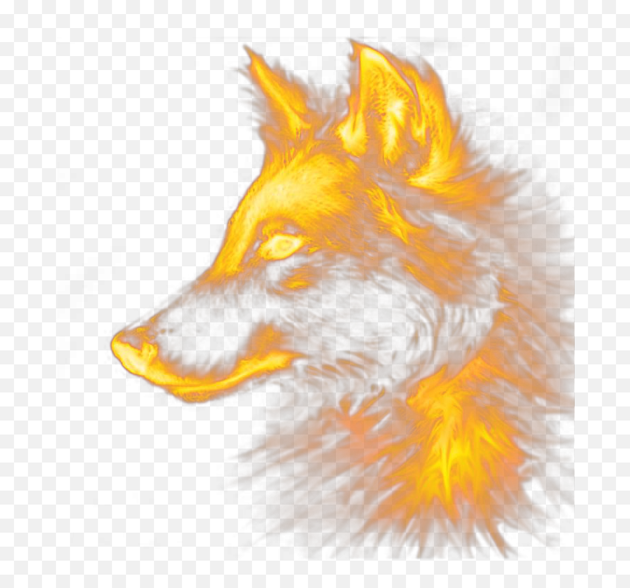 Download Fox Dog Wolf Red Special Effects - Png Special Special Effects Png,Red Effect Png