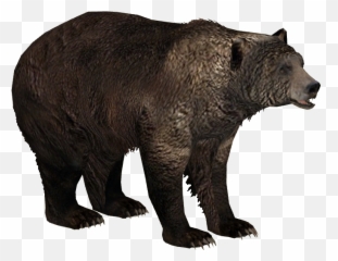 Ice Age Pack - Zoo Tycoon 2 Bear png
