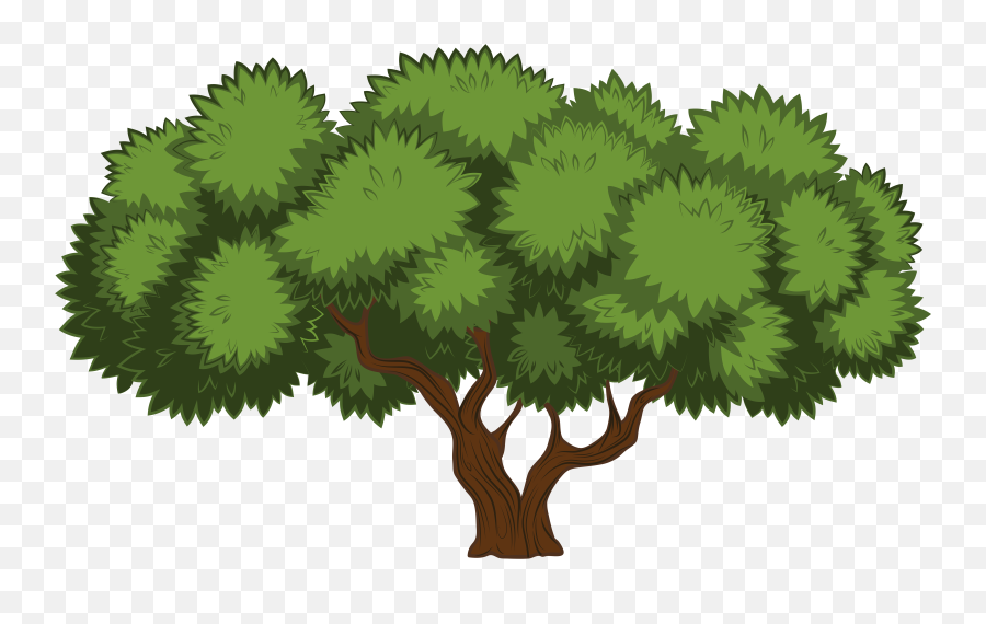 Library Of Tree Picture Png Files - Trees Png Clip Art,Png Tree.com