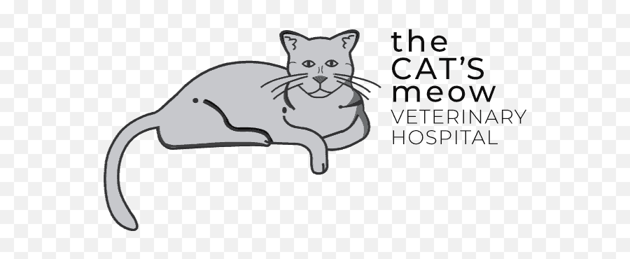 Kidney Disease The Catu0027s Meow Veterinary Hospital - Language Png,Calm Icon For Cats
