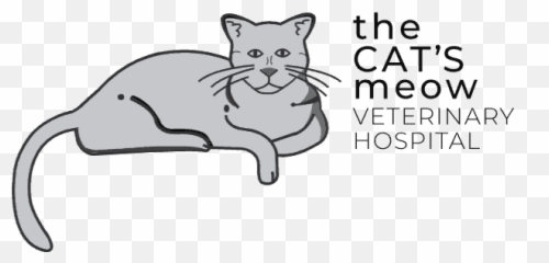 Kidney Disease The Catu0027s Meow Veterinary Hospital - Language png