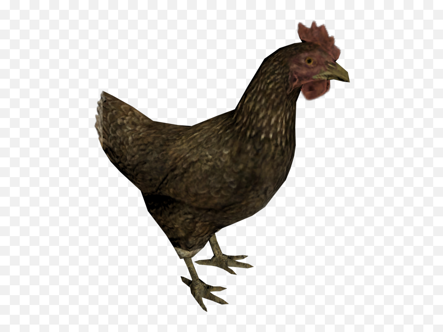 Pc Computer - The Elder Scrolls V Skyrim Chicken The Skyrim Chicken Png,Chicken Transparent