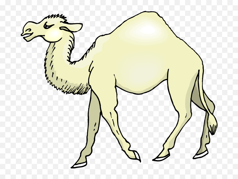 Camel Clipart Png - Cartoon Clipart Camel,Camel Png
