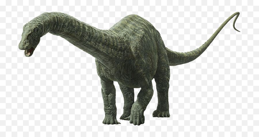 Apatosaurus Jurassic World - Apatosaurus Jurassic World Apatosaurus Png,Jurassic World Png