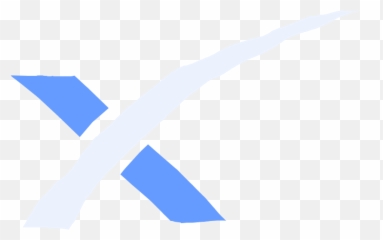 Spacex Logo Layer - Flight png
